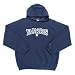 New York Yankees MLB 