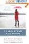 Raven Stole the Moon: A Novel