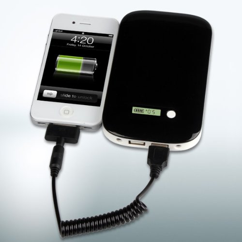 8800mAh 5V / 9V Portable Power Battery for Google Tablet Nexus 7, Google Tablet Nexus 10 : Cinch CP888