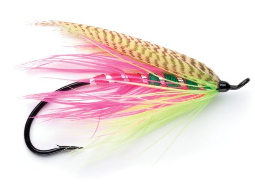 Winter Punch Spey Fly 2 Pack