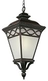 Bel Air Lighting PL-50517 BK Black Outdoor Hanging Light