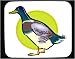 Search : Mouse Pad with forecast, astrology, duck, sign, horoscope, bird, animal, chinese