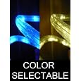 50Ft Color Selectable Rope Lights; neon blue and warm white LED Rope Light Kit; Christmas Lighting; outdoor rope lighting