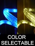50Ft Color Selectable Rope Lights; neon blue and warm white LED Rope Light Kit; Christmas Lighting; outdoor rope lighting