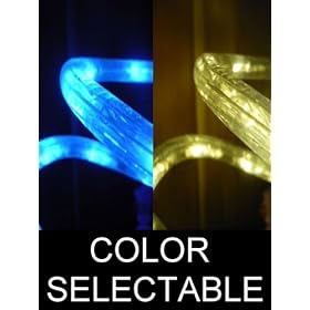 10Ft Color Selectable Rope Lights; neon blue and warm white LED Rope Light Kit; Christmas... by DiodeArt