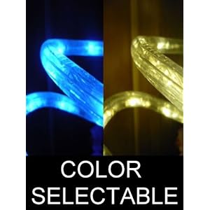 10Ft Color Selectable Rope Lights; neon blue and warm white LED Rope Light Kit; Christmas... by DiodeArt