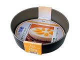 �L�� ���ꎮ�f�R�^20cm DL5594