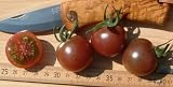 Eigenschaften fesaja-versand  / Tomatensorte => Black Cherry (Samen)
