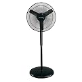 Oscillating Stand Fan - Black (16")