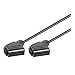 COSCD Kabel HIFI/ TV Scart M/M schwarz 2m