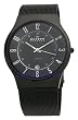 Skagen Titanium Mens Watch 233XLTMB