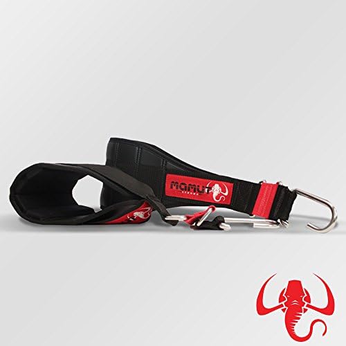 Mamut Strong Ab Straps Set (2) - Hanging Abdominal Exercise Equipment with Ripstop Nylon - Supports 1,500 lbs. - Adjustable Ab Toners for CrossFit WODs, Pullups, Dips - Brazilian Made