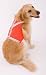 MEDIUM - ORANGE - Doggles Reflective Mesh Walking Harness