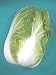 国産野菜 白菜 1玉