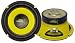 PYLE PLG64 6.5-Inch 300 Watt Mid Bass Woofer