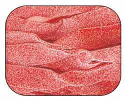 Sour Power Watermelon