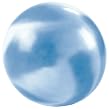 Bally Total Fitness 65cm Anti-Burst Fitness Ball with DVD and Pump Bally Total Fitness 65cm Anti-Burst Fitness Ball with DVD and Pump