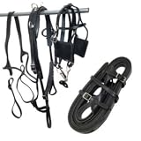 Tory Leather Driving Harness Small Pony