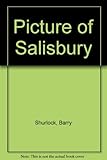 A picture of Salisbury