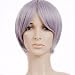 Silver Grey Short Length Anime Cosplay Wig Costume