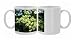 Photo Mugs of Rog-1184 Acer - Maple from Ardea Wildlife Pets