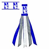 NCAA Northwestern Wildcats Windsock