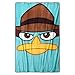 Disney Phineas and Ferb Blanket, 62in x 90in
