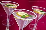 12 x Disposable Plastic Martini Cocktail Glasses - Cocktail Accessories