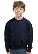 Youth Crewneck Sweatshirt