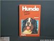 Hunde erkennen und bestimmen