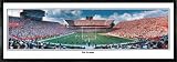 Florida Gators The Swamp vs. Auburn Panoramic