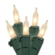 Set of 100 Clear Frosted Mini Christmas Lights - Green Wire