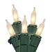 Set of 100 Clear Frosted Mini Christmas Lights - Green Wire