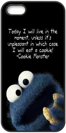 Exquisite Customized Funny Lovely Cookie Monster iPhone 5 5s Case Cover ,Plastic Shell Hard Back Cases For Fans At CBRL007