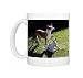 dog-ibizan hound Photo Mugs