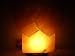Himalayan Salt Double Heart Lamp