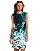 Ak Anne Klein Women's Placement Floral Dress, Multi, 12