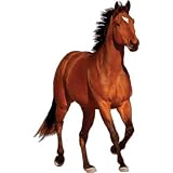 Rivers Edge Products Running Bay Horse Auto Magnet