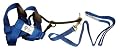 The Illusion Collar and Leash Set By Cesar Millan: BLACK and MEDIUM Size