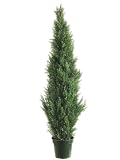 Pack of 2 Potted Artificial Cedar Topiary Trees 5