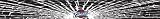 Cleveland Cavaliers Shattered Auto Visor Decal