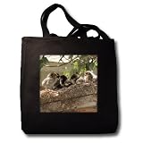 Dream Essence Designs Photography - Cute baby chicks on the roof of an old shed - Tote Bags