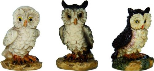 Owls 3PC. Adatto per 13 a 18cm figure