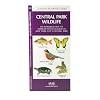 Central Park Wildlife: An Introduction to Familiar Species Found in New York City's Central Park (Ecotourism: Parks & Sanctuaries Guides)