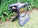 Butterfly Folding Stool