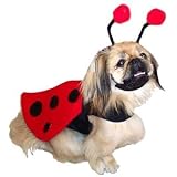 Dog Costume Ladybug Pet Costume XLarge (XL)