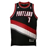 NBA Portland Trail Blazers Brandon Roy Swingman Alternate Jersey Youth