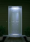 Solar Entry Light