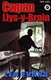 Cwpan Llys-y-brain