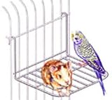 Small Moveable Platform Chrome 8x6x4
